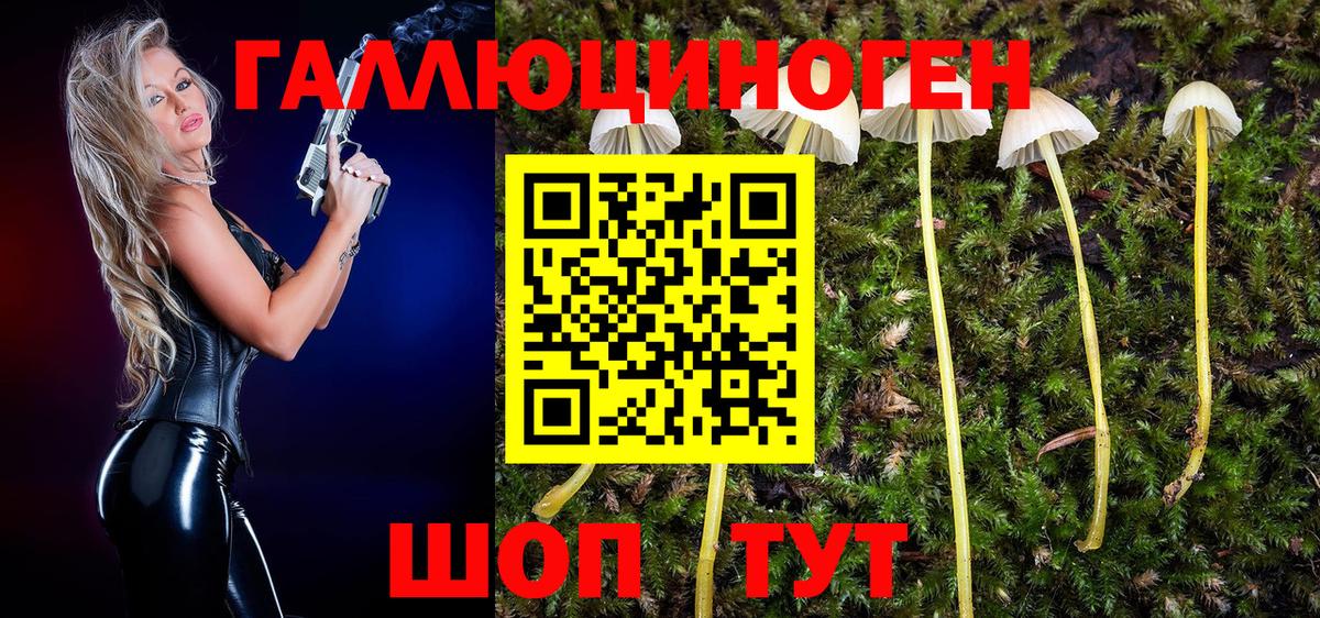 Железноводск  Галлюциногенные грибы MAGIC MUSHROOMS  Галлюциногенные грибы Psilocybine cubensis  Вход с VPN 